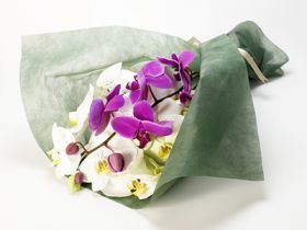 orchid bouquet to japan